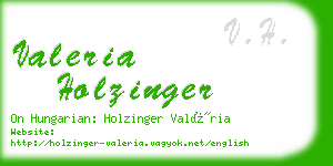 valeria holzinger business card